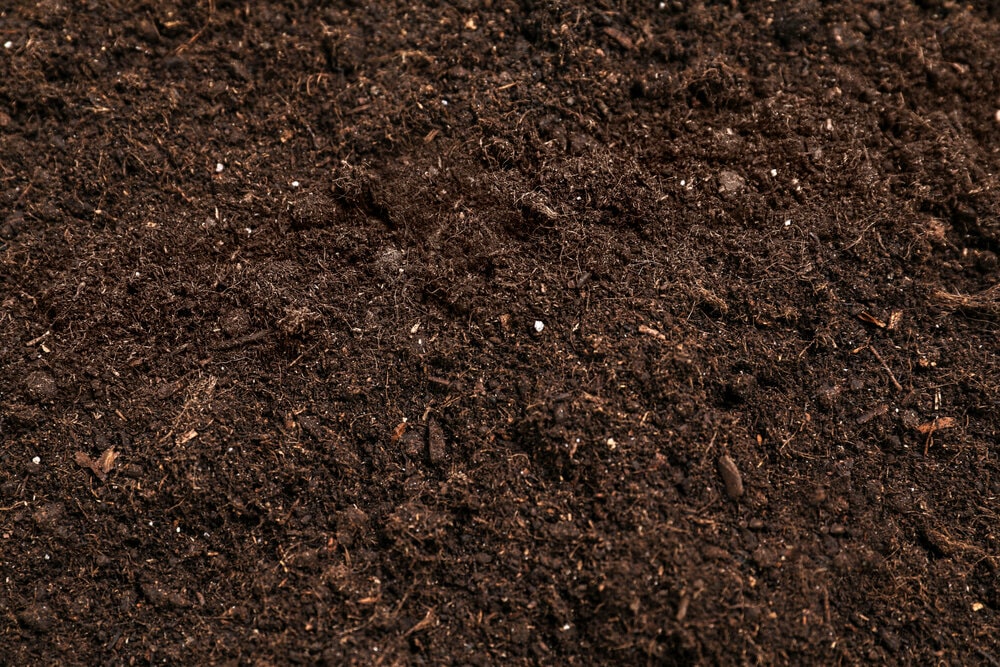 A closeup shot of the surface of the soil in a fresh green field