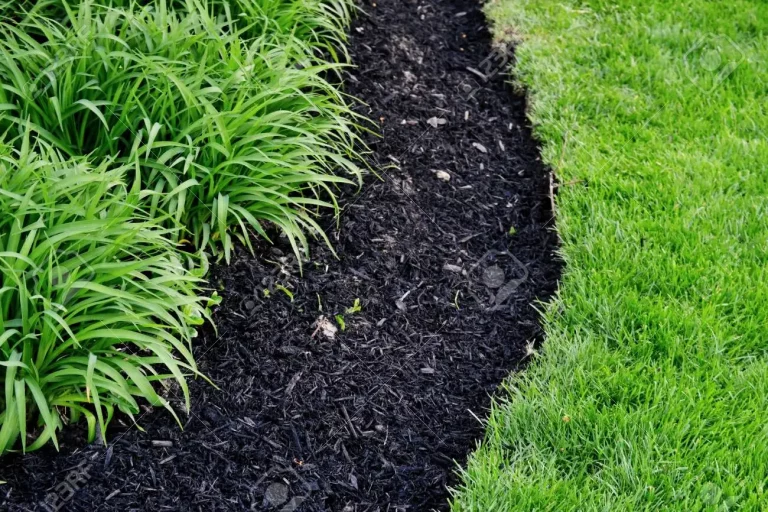 Can Mulch Be Used As Compost?