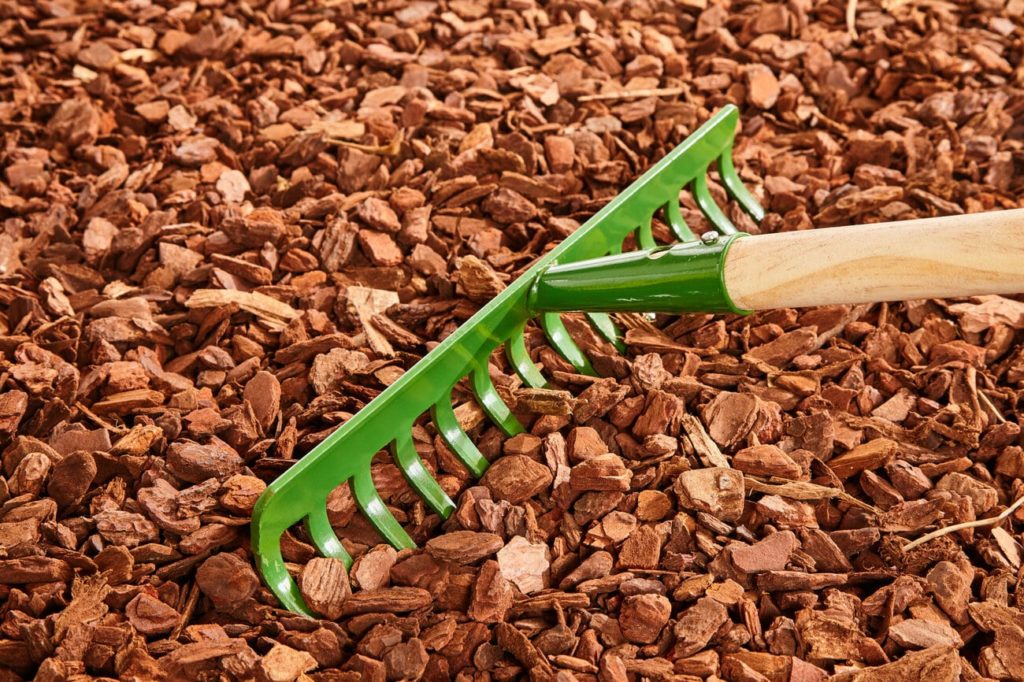 Single green painted garden rake with thick tines over red colored wood chip mulch on ground