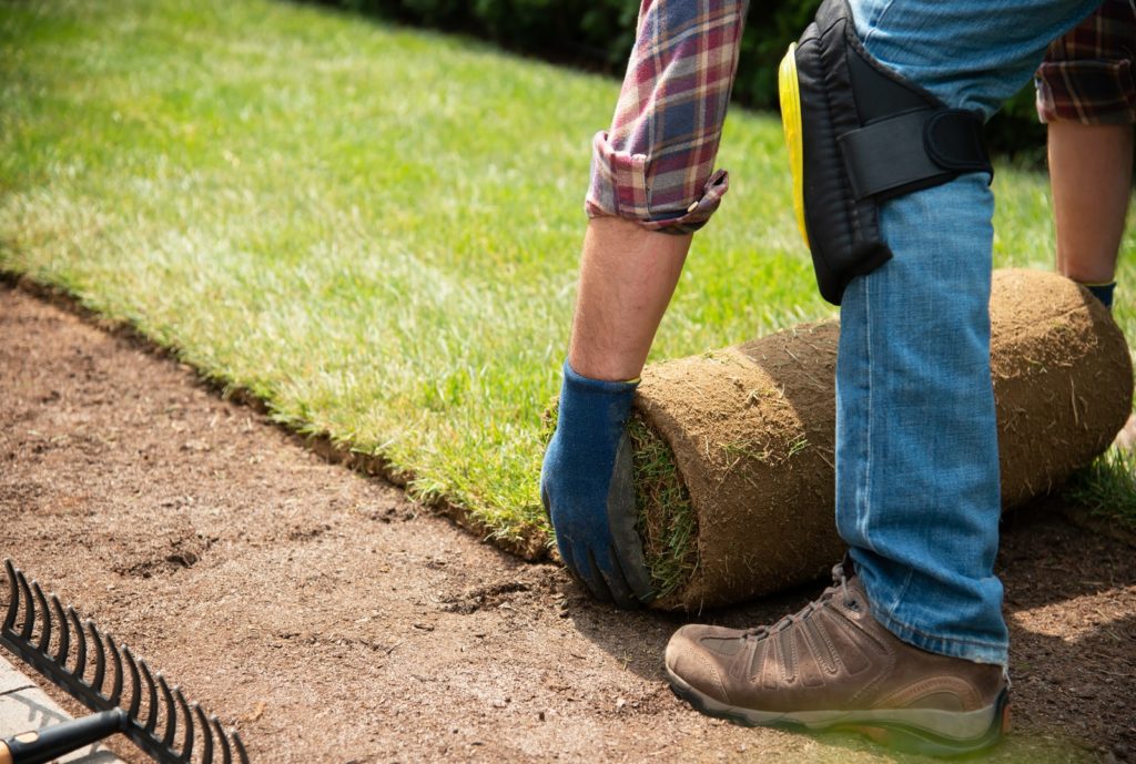 Installing turf rolls in the garden