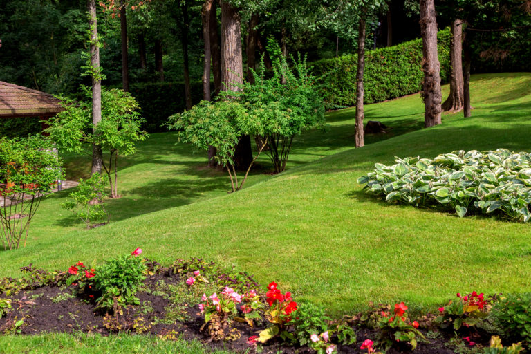 Boost Your Home’s Curb Appeal with Landscaping: Tips and Tricks for an Enviable Yard