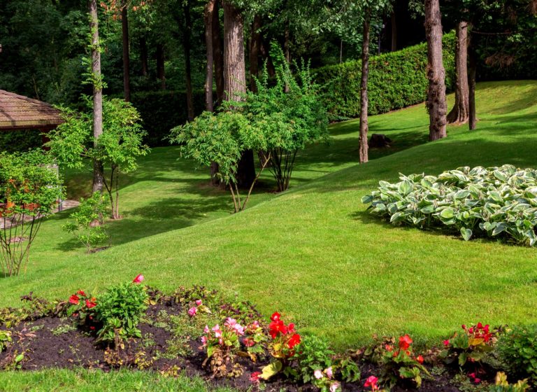 Landscaping 101: How to Transform Your Yard