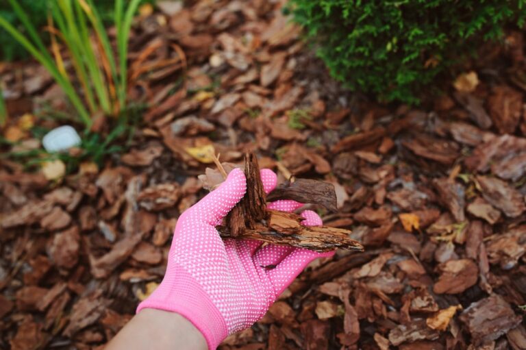 Mulch Maintenance: How to Keep Your Garden Fresh All Year Round