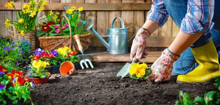 Choosing the Right Mulch for Your Garden