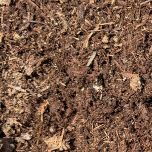 Mushroom Soil